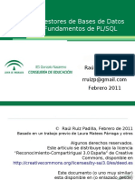 IntroduccionPLSQL.pdf