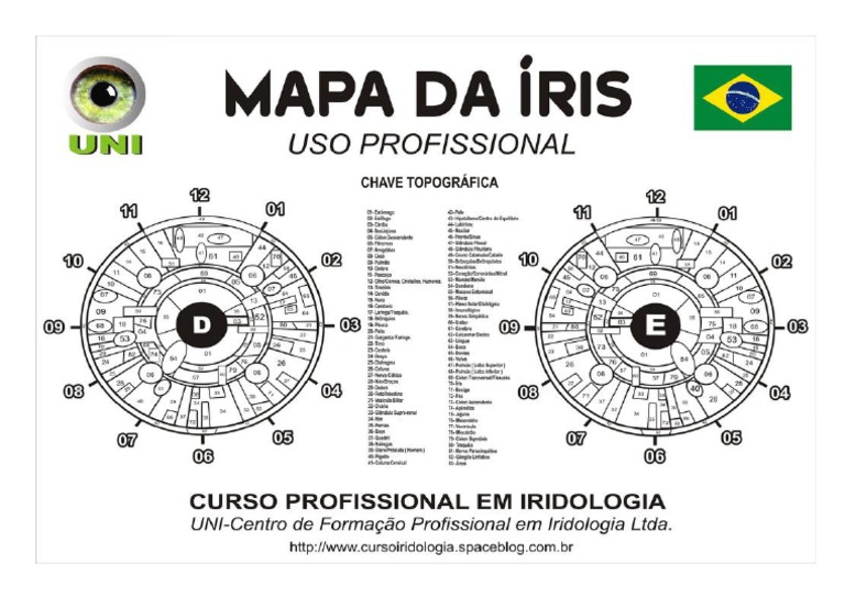 Iridologia Mapa 2 | PDF