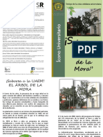 Diptico Arbol de La Mora 2015 PDF