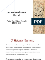 Neuroanatomia Geral 