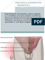 Conducto Inguinal Expo Romina