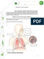 TALLER DEL SISTEMA RESPIRATORIO 5° - 2.pdf