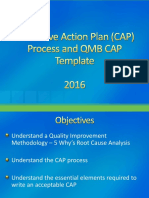 CAP Process and CAP Template