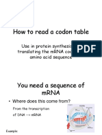 How To Read A Codon Table