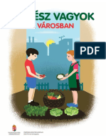 virag_repka_pardi__kertesz_vagyok_a_varosban__14331.pdf