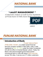 On Punjab National Bank by Manoj Singla