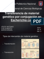 Seminario Conjugación E9SII Vfin