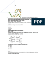 Bio Soal DNA RNA