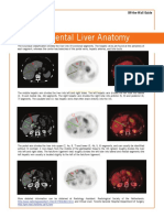Segmental Liver.pdf