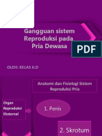 Gangguan Sistem Reproduksi Pada