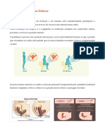 6A - Posição Correcta para Defecar