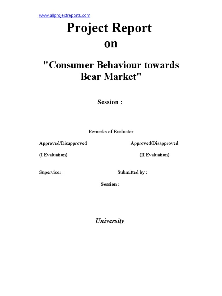 Consumer Behavior in Beer Market | PDF | Survey Methodology | Brand