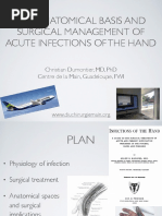 Brunner Incison Original | PDF | Hand | Finger