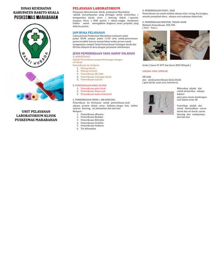 Pelayanan Laboratorium Puskesmas Marabahan | PDF