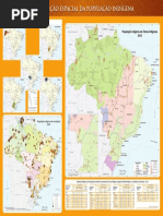 Mapa distribuicao indígena no Brasil