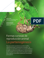 Partenogénesis