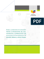 RutayprotocolodrogasFinal PDF