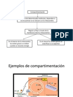 Bioquimica Wences