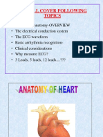 Anatomy of Heart