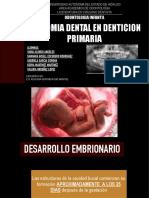 Anatomia Dental en Dentición Primaria