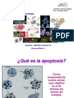 Clase Apoptosis