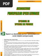 I - laboratorul_6.pdf