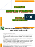 I - Laboratorul - 6 PDF