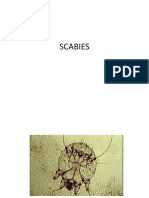 SCABIES, Creeping
