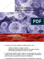 Aula 9 Bases Celulares Histologicas e Anatomicas Da Resposta Imune
