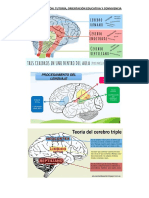 Neurotoe Cn