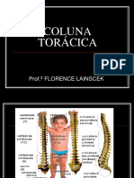 Coluna Torácica