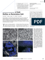 Biomineralization of Gold: Biofilms On Bacterioform Gold: Reports