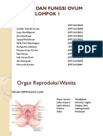 Struktur Dan Fungsi Ovum Embrio