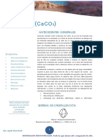 Calcita.pdf