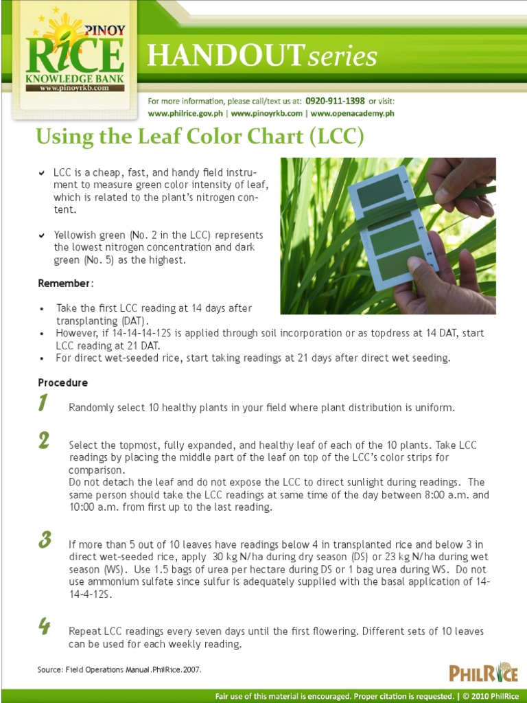 Leaf Color Chart for Rice Nitrogen Assessment | PDF