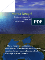 Marea Neagra (Gurzun & Parfenie)