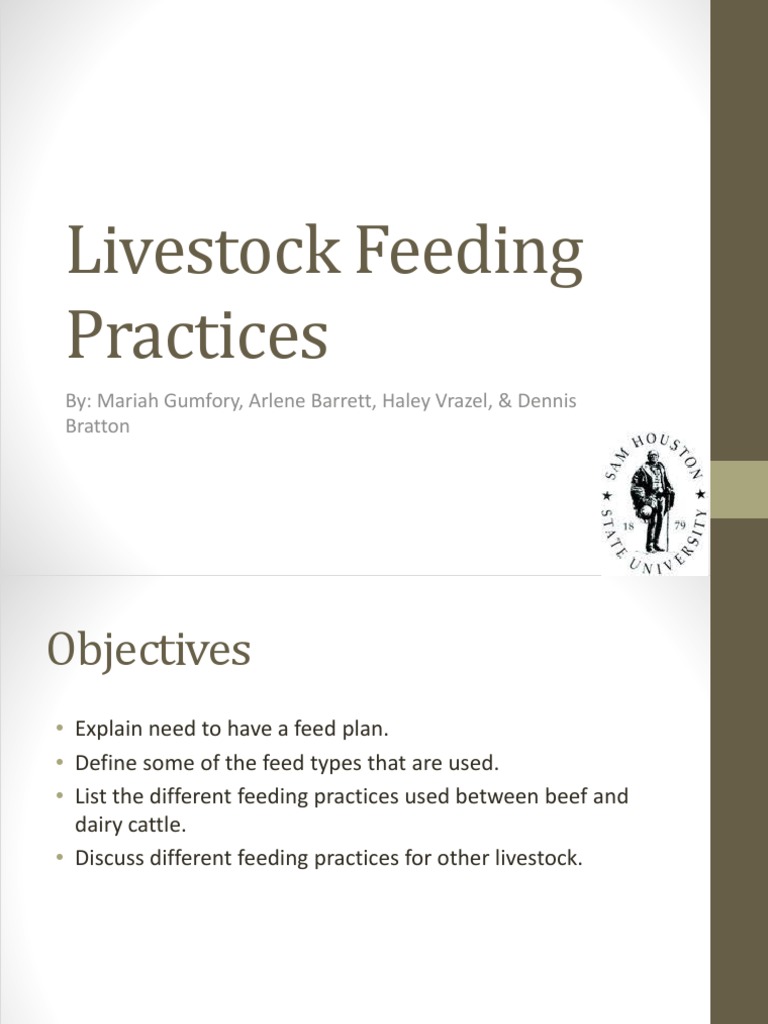 Livestock Feeding Practices Overview | PDF | Hay | Cattle