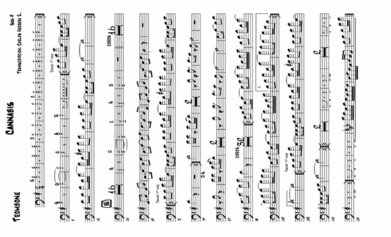 Cannabis Trombon | PDF