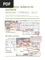 Quimica de Glicídios Resumo