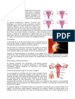 354914240-Ciclo-Menstrual.docx