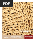 Ceramic A PDF