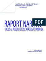 Raport Consultanta - Florina Ianculescu