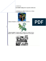 Clasificación de Las Ciencias