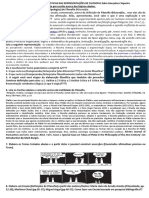 Definições e Características Das Representações de Filosofia Edno Gonçalves Siqueira