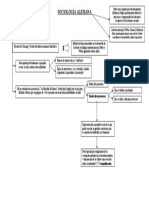 Esquema Sociología Alemana Simmel