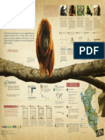 Infografía Tráfico Ilegal de Primates en Perú (PDF Online)