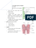 Division of larynx.docx