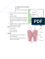 Division of larynx.docx