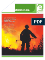 Diario Concepción - Día Del Brigadista Forestal 2019 