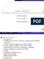Motivo & Dominios PDF